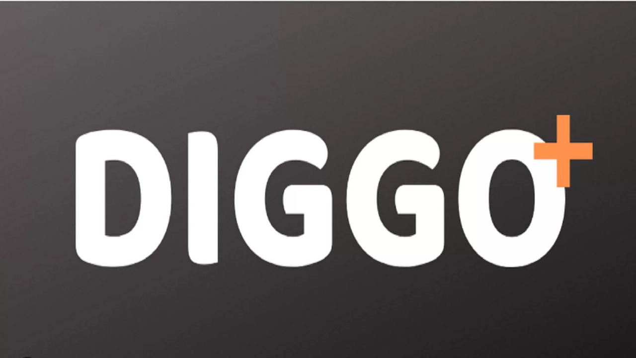 DIGGO 1