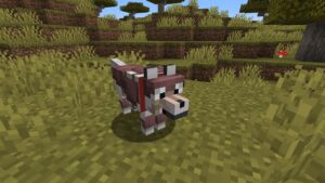 Minecraft v1.20.73 4