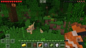 Minecraft 1.21.0.24 2