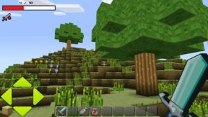 Minecraft 1.21.0.24 3