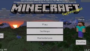 Minecraft 1.21.1.03 3