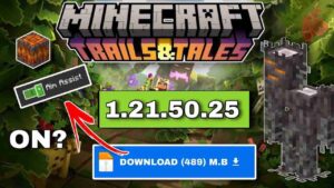 Minecraft 1.21.50.25 1