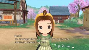 STORY OF SEASONS 1