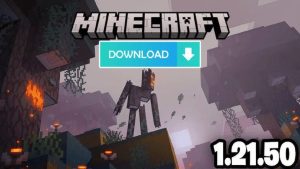 Minecraft 1.21.50.07 3